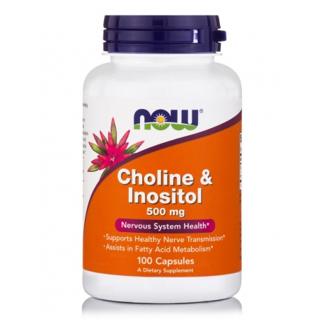 Choline & Inositol 500 mg Capsules