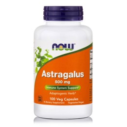 Astragalus 500 mg Veg Capsules