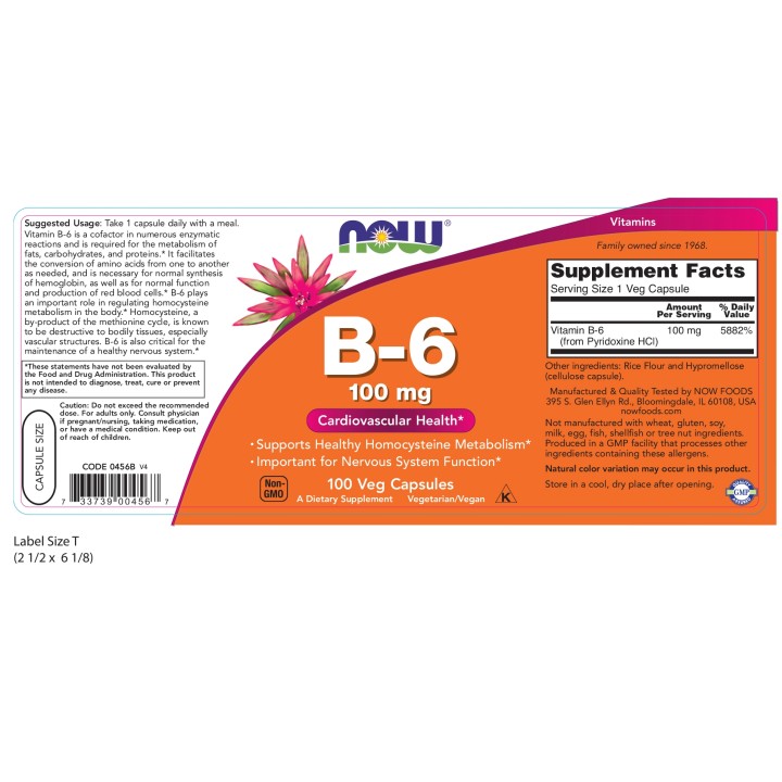 Vitamin B-6 100 mg Veg Capsules