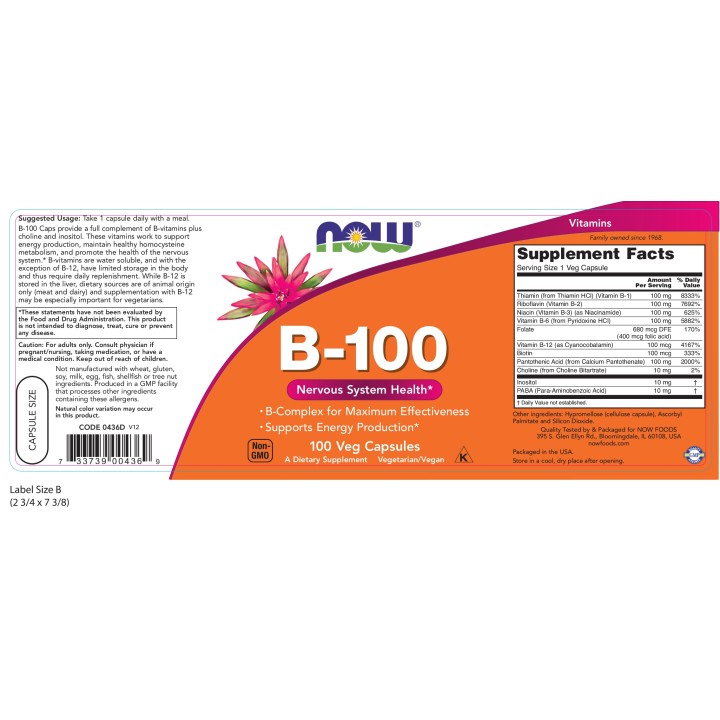 Vitamin B-100 Veg Capsules