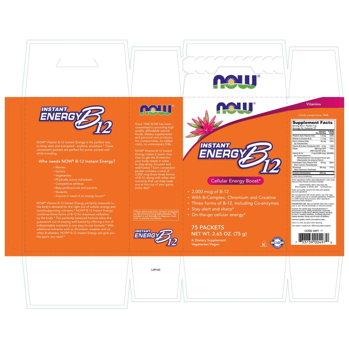 Instant Energy B-12 Packets
