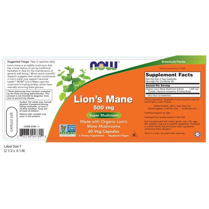 Lion's Mane 500 mg Veg Capsules