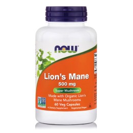 Lion's Mane 500 mg Veg Capsules